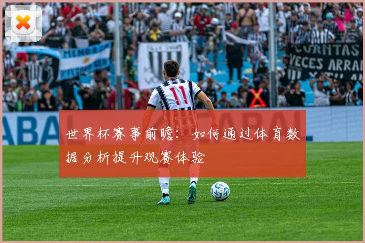世界杯赛事前瞻：如何通过体育数据分析提升观赛体验