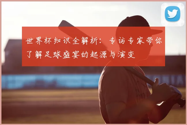 世界杯知识全解析：专访专家带你了解足球盛宴的起源与演变