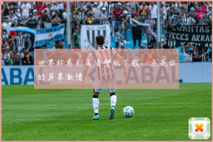 世界杯真彩高清壁纸下载，点亮你的屏幕激情