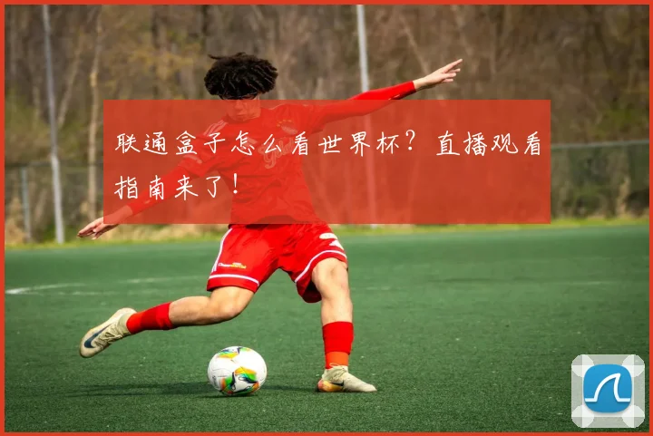 联通盒子怎么看世界杯？直播观看指南来了！