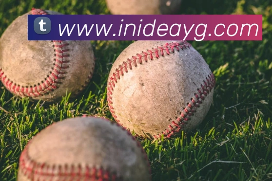 九游官网登录首页服务体系